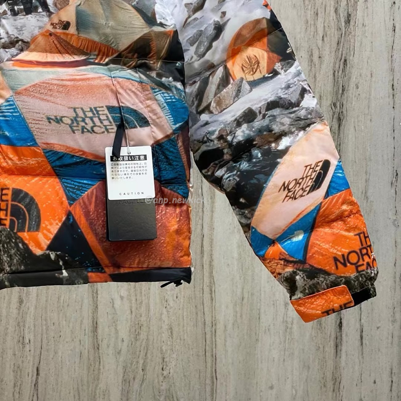 The North Face X Invincible The Expedition Series Nuptse Jacket Multi Fw19 (4) - newkick.cc